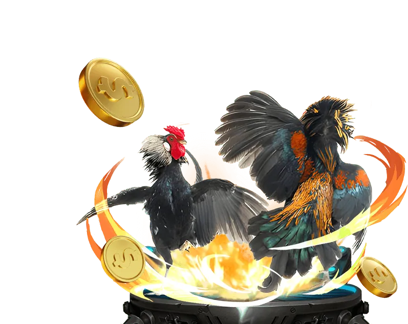 Giao diện ứng dụng đá gà trực tiếp Thomo